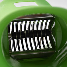 Apex Ovel Manual Chilly & Dry Fruit Cutter Grinder - luckystorebuy.in