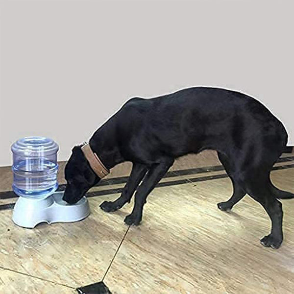 Automatic Pet Water Dispenser, Food Storage Bottle - luckystorebuy.in