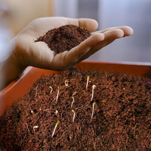 Cocopeat Block Organic Fertilizer and Soil Manure Potting Mixture for Home Gardening and Potted Plants (1 KG.) - luckystorebuy.in