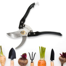 Gardening Tools - Garden Shears Pruners Scissor (1 Pc) - luckystorebuy.in