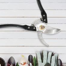 Gardening Tools - Garden Shears Pruners Scissor (1 Pc) - luckystorebuy.in