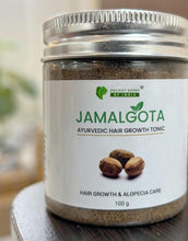Jamalgota Ayurvedic Hair Growth Powder ( Pack Of 2 ) - luckystorebuy.in