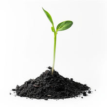 Organic Vermicompost Black Soil for Plants Health Manure (1 KG Approx) - luckystorebuy.in