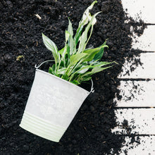 Organic Vermicompost Black Soil for Plants Health Manure (1 KG Approx) - luckystorebuy.in