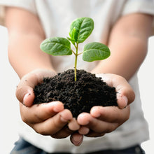 Organic Vermicompost Black Soil for Plants Health Manure (1 KG Approx) - luckystorebuy.in