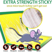 PCI Cardboard Troublegum Small Size Mouse Trap - 1pc - luckystorebuy.in