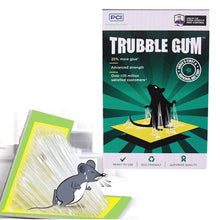 PCI Cardboard Troublegum Small Size Mouse Trap - 1pc - luckystorebuy.in