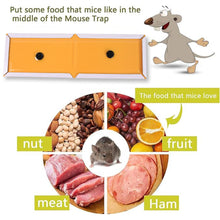 PCI Cardboard Troublegum Small Size Mouse Trap - 1pc - luckystorebuy.in