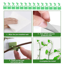 Plant Climbing Wall Fixture Clip Self - Adhesive Hook (100 Pcs Set) - luckystorebuy.in