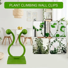 Plant Climbing Wall Fixture Clip Self - Adhesive Hook (100 Pcs Set) - luckystorebuy.in