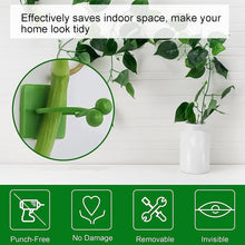 Plant Climbing Wall Fixture Clip Self - Adhesive Hook (100 Pcs Set) - luckystorebuy.in