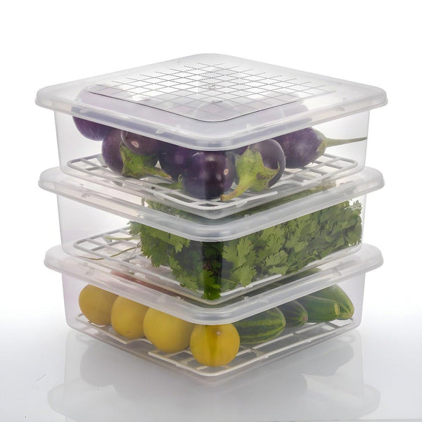 Plastic Food Storage Containers with Removable Drain Tray and Lid (3 Pcs Set) - luckystorebuy.in