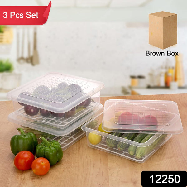 Plastic Food Storage Containers with Removable Drain Tray and Lid (3 Pcs Set) - luckystorebuy.in