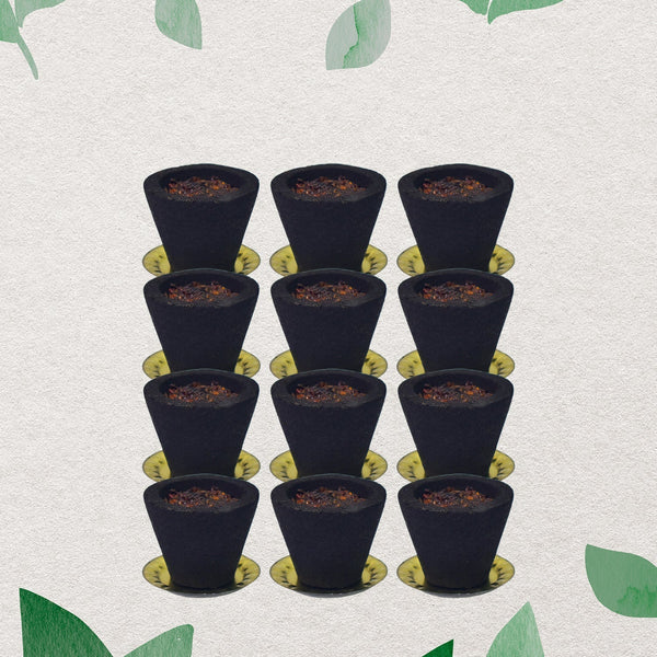 Premium Gugal Sambrani Cup Sambrani Havan Cups (12 Pcs Set) - luckystorebuy.in