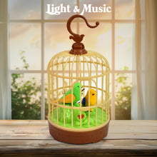 Sound Activated Chirping Bird in Hanging Cage, Beautiful Pinjra Bird Toy (1 Pc / Battery Not Operated) - luckystorebuy.in