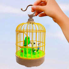 Sound Activated Chirping Bird in Hanging Cage, Beautiful Pinjra Bird Toy (1 Pc / Battery Not Operated) - luckystorebuy.in