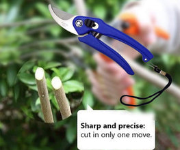 Stainless Steel Garden Scissors - luckystorebuy.in
