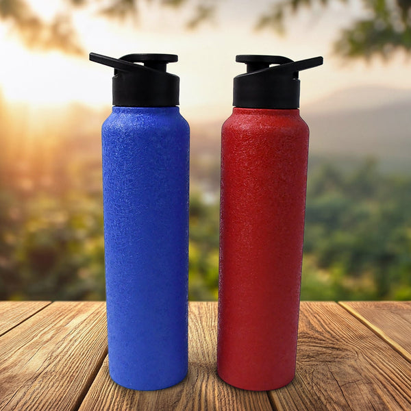 Stainless Steel Water Bottle, Fridge Water Bottle (1000ML / Mix Colour / 1 Pc) - luckystorebuy.in