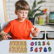 Wooden Number Puzzle Learning Educational Board (1 Set / 28×20 Cm) - luckystorebuy.in